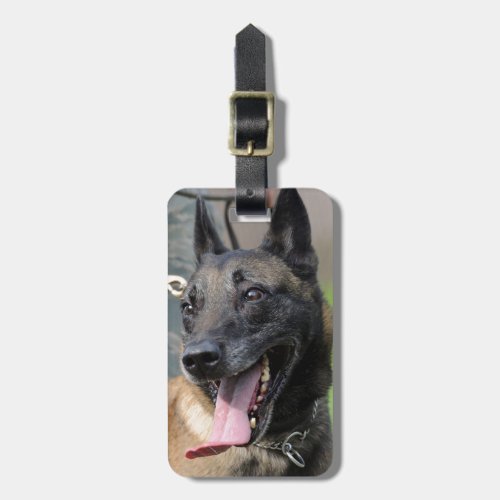 Smiling Belgian Malinois Dog Luggage Tag