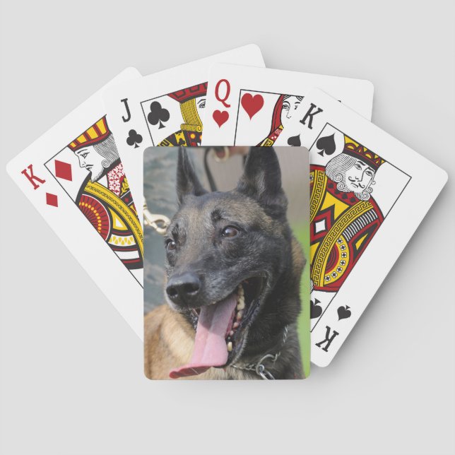 Smiling Belgian Malinois Dog Poker Cards (Back)