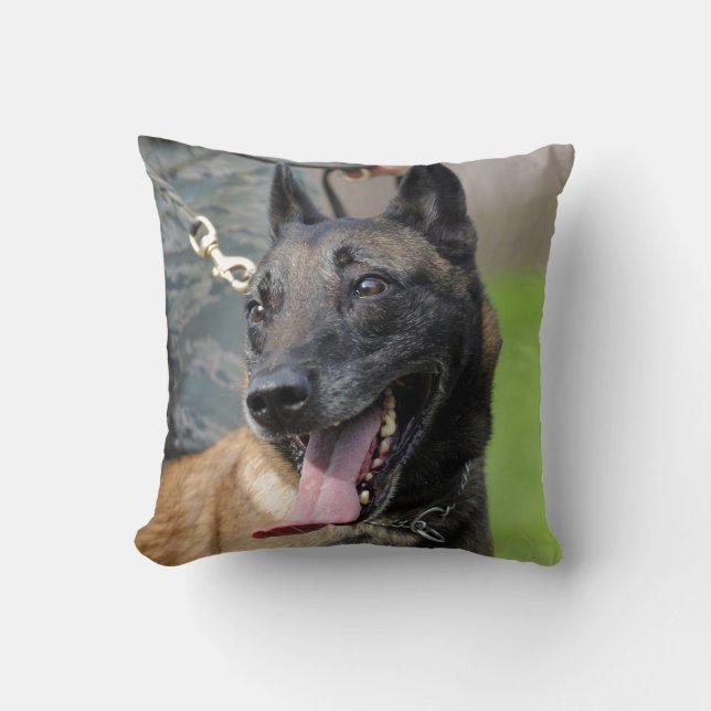 Smiling Belgian Malinois Dog Throw Pillow (Front)