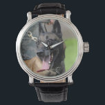 Smiling Belgian Malinois Dog Watch<br><div class="desc">This is a photograph of a smiling Belgian Malinois dog.</div>