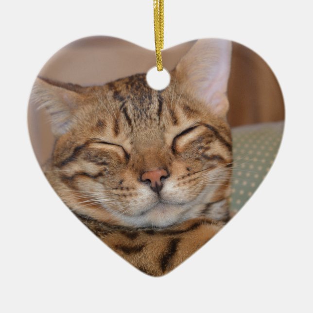 Smiling Bengal Ceramic Ornament (Front)