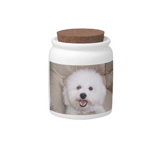 Smiling Bichon Frise Dog Treat Candy Jar