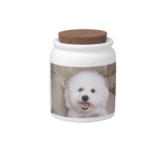 Smiling Bichon Frise Dog Treat Candy Jar (Front)