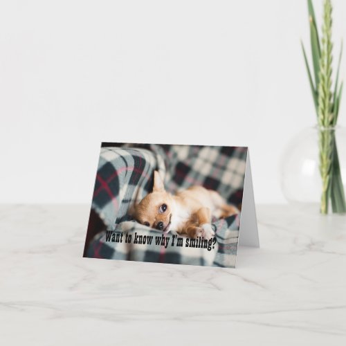 Smiling Birthday Pup Card