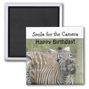 Smiling Birthday Zebra Magnet