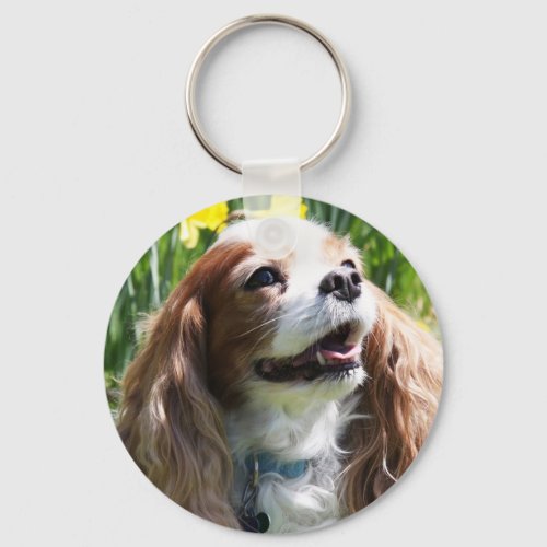 Smiling Blenheim Cavalier King Charles Spaniel Keychain