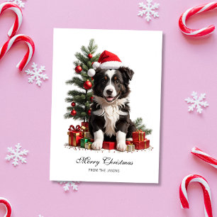 Smiling Border Collie Christmas Puppy Personalized Holiday Card