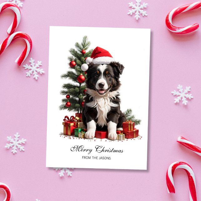 Smiling Border Collie Christmas Puppy Personalized Holiday Card (Smiling Border Collie Christmas Puppy Holiday Card)