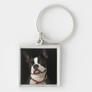 Smiling Boston terrier with collar Keychain
