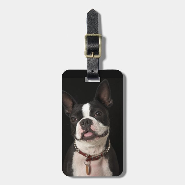 Smiling Boston terrier with collar Luggage Tag (Front Vertical)