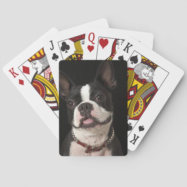 Smiling Boston terrier with collar Poker Cards (Back)