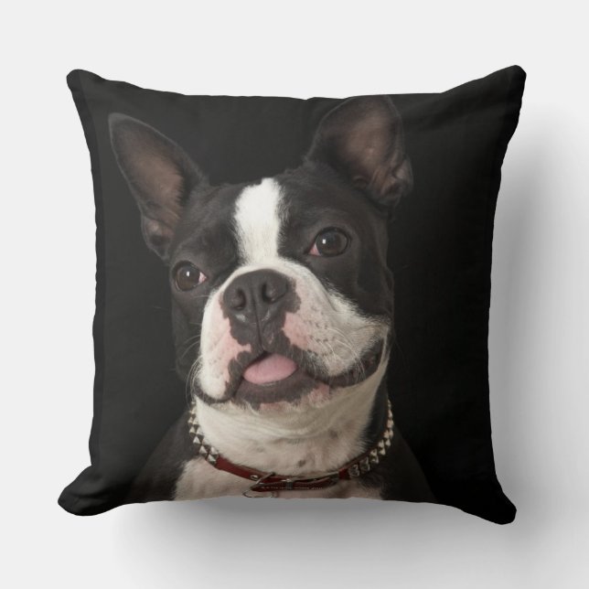 Smiling Boston terrier with collar Throw Pillow (Front)
