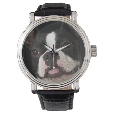 Smiling Boston Terrier With Collar Watch