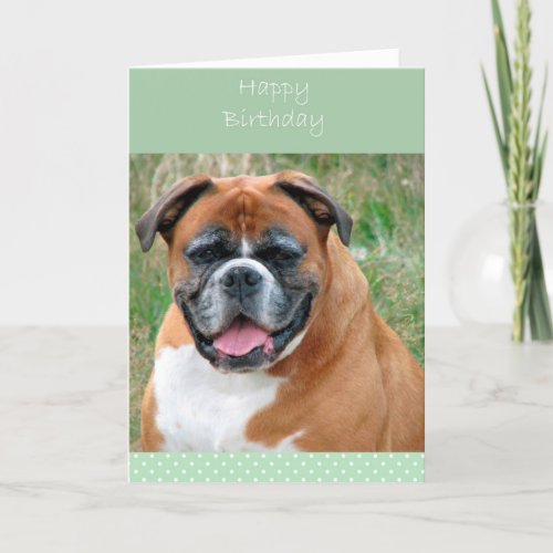 Smiling Boxer Dog Happy Birthday Greeting Card