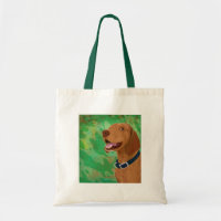 Smiling Brown Vizsla on Green Background
