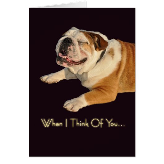 Smiling Bulldog Cards (Front)