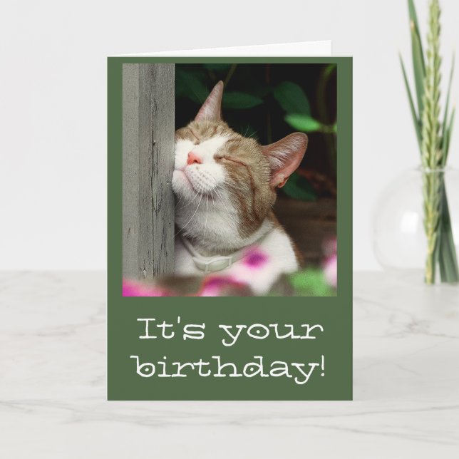 Smiling Cat Birthday Card (Front)