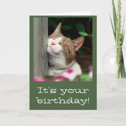 Smiling Cat Birthday Card