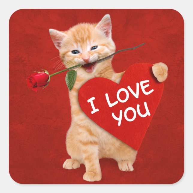Smiling cat in love square sticker (Front)