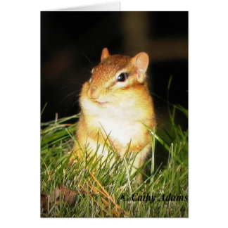 Smiling Chipmonk Cards