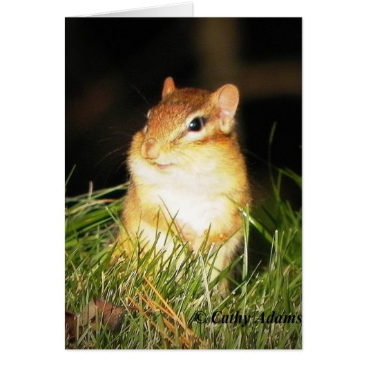 Smiling Chipmonk Cards (Front)