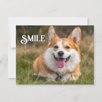 Smiling Corgi Dog Funny Animal Smile Postcard by azlaird at Zazzle