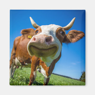 Smiling Cow Magnet