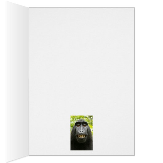 Smiling Crested Celebes Macaque (Inside (Right))