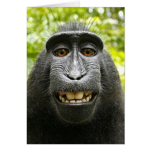 Smiling Crested Celebes Macaque Cards (Front)