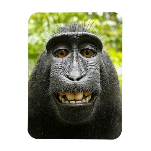 Smiling Crested Celebes Macaque Monkey Magnet