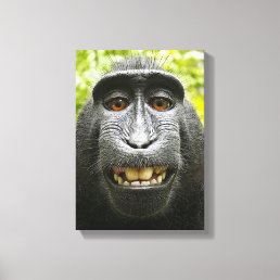 Smiling Crested Macaque Canvas Print