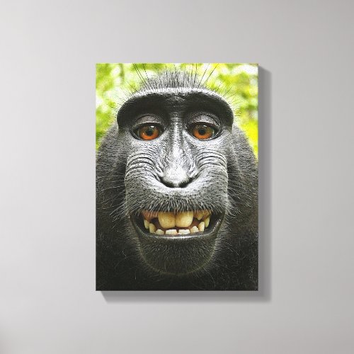 Smiling Crested Macaque Canvas Print