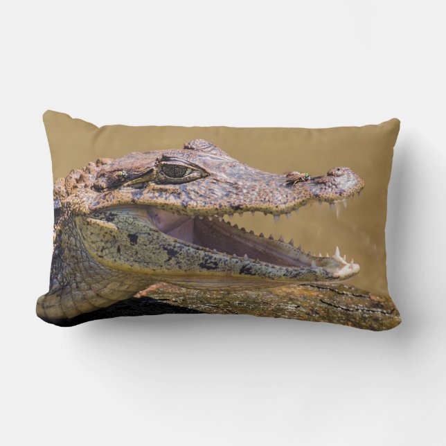 Smiling crocodile in Tortuguero - Costa Rica Lumbar Pillow (Front)