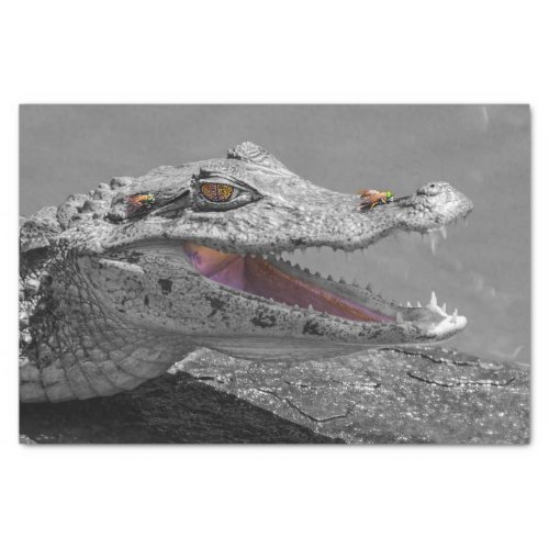 Smiling crocodile in Tortuguero _ Costa Rica Tissue Paper