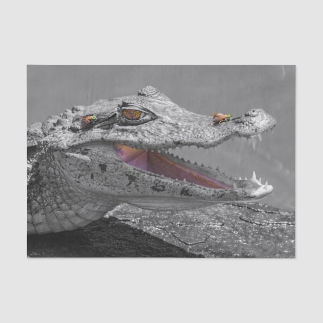 Smiling crocodile in Tortuguero - Costa Rica Tissue Paper (Front)