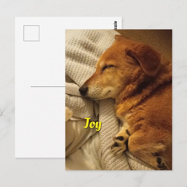 Smiling Dog Postcard (Front/Back)