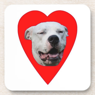 Smiling Dogo Argentino Coaster