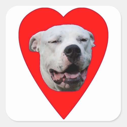 Smiling Dogo Argentino Square Sticker