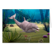 Smiling Dolphin (Front Horizontal)