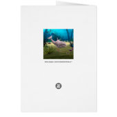 Smiling Dolphin (Back)