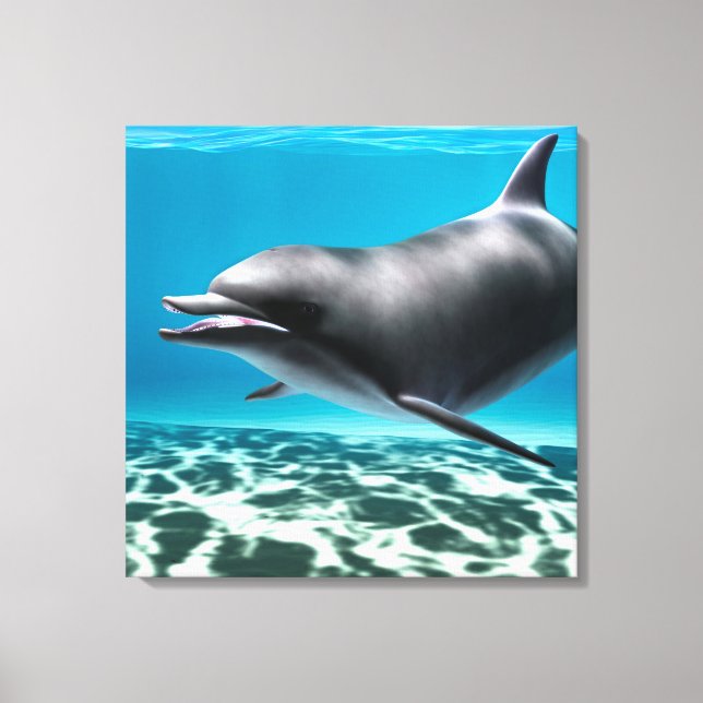 Smiling Dolphin Canvas Print (Front)