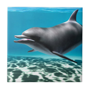 Smiling Dolphin Ceramic Tile