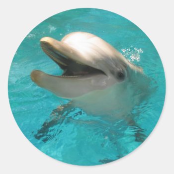 Smiling Dolphin Classic Round Sticker by Brookelorren at Zazzle