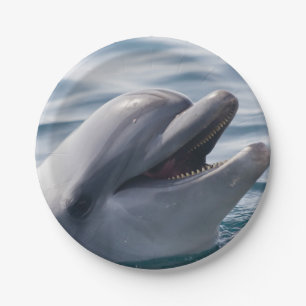 Smiling Dolphin Close‑Up in Bright Blue Water Paper Plates