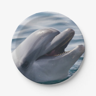Smiling Dolphin Close‑Up in Bright Blue Water Paper Plates