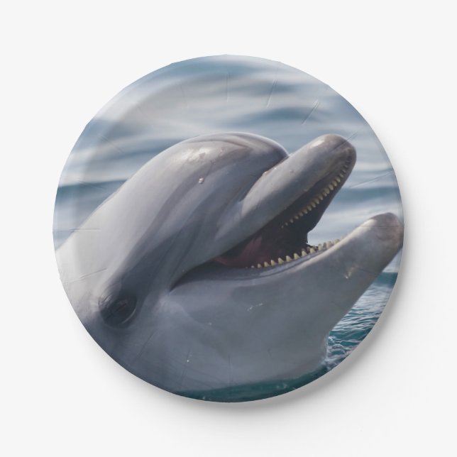 Smiling Dolphin Close‑Up in Bright Blue Water Paper Plates (Front)