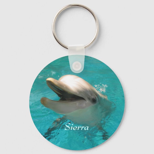 Smiling Dolphin Keychain (Front)