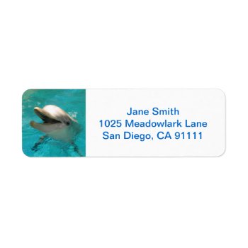 Smiling Dolphin Label by Brookelorren at Zazzle