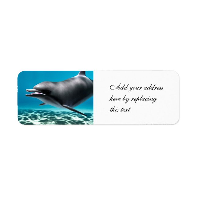 Smiling Dolphin Label (Front)