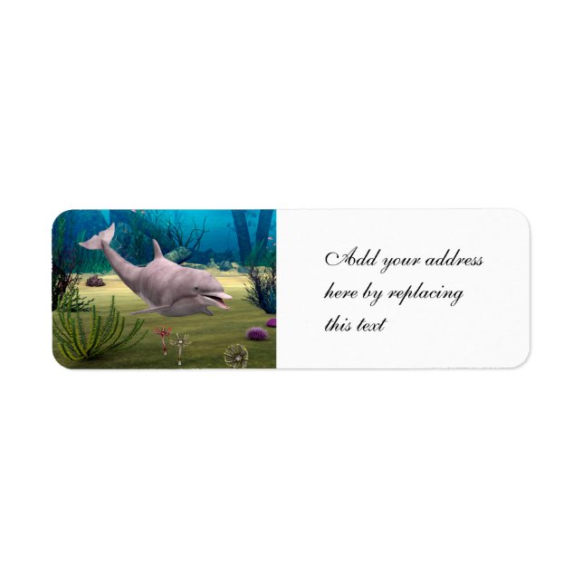 Smiling Dolphin Label (Front)